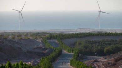 Challenge Sir Bani Yas set to make history